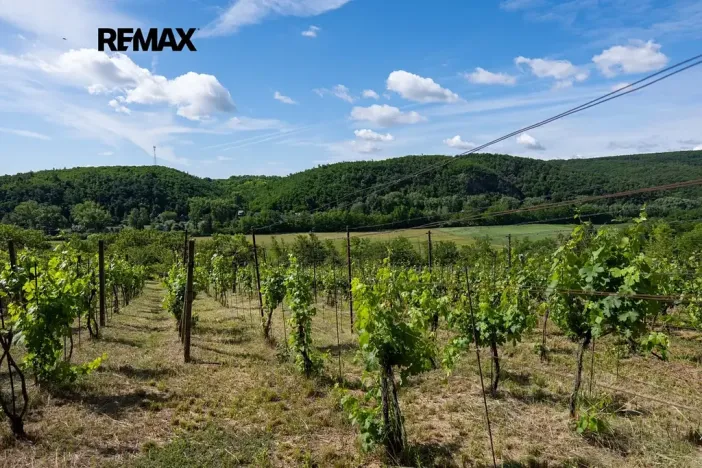Prodej sadu/vinice, Moravské Bránice, 2403 m2