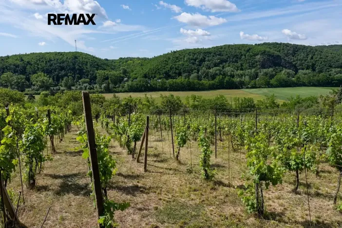 Prodej sadu/vinice, Moravské Bránice, 2403 m2