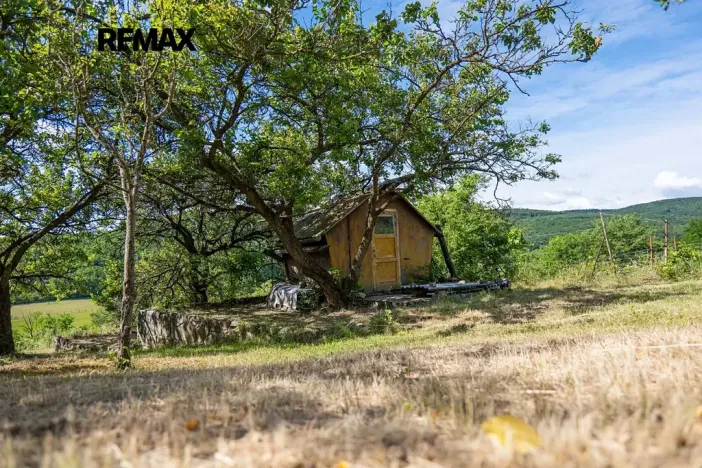 Prodej sadu/vinice, Moravské Bránice, 2403 m2