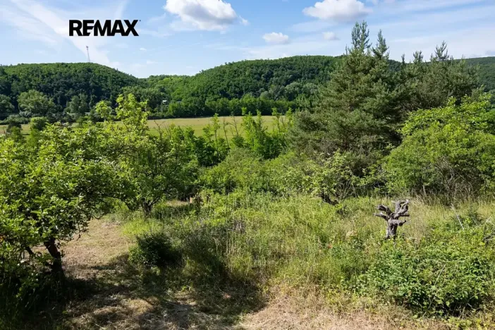 Prodej sadu/vinice, Moravské Bránice, 2403 m2