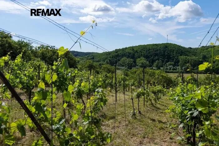 Prodej sadu/vinice, Moravské Bránice, 2403 m2