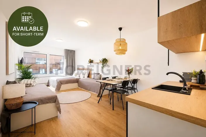 Pronájem bytu 1+kk, Brno, Cejl, 29 m2