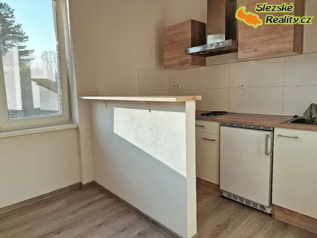 Pronájem bytu 1+kk, Ostrava, Krakovská, 22 m2