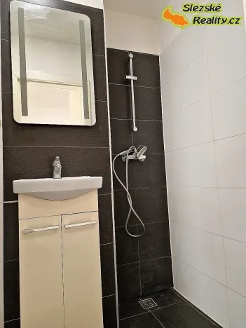 Pronájem bytu 1+kk, Ostrava, Krakovská, 22 m2