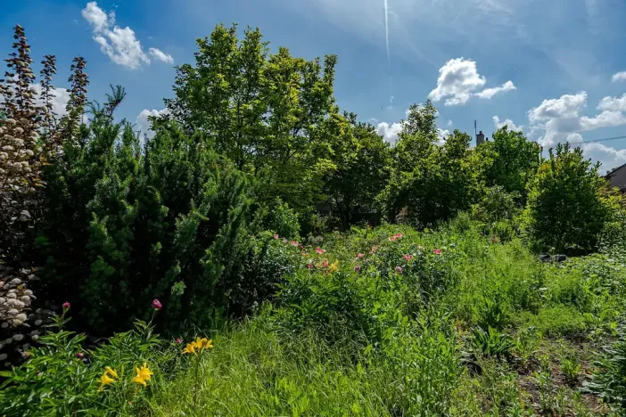 Prodej rodinného domu, Vysoké Mýto, Jožky Svobody, 190 m2