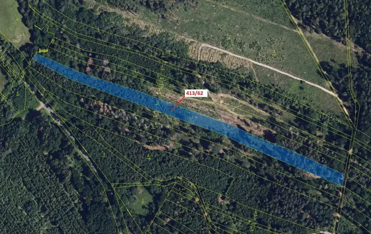 Dražba lesa, Olbramice, 7242 m2