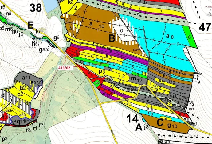Dražba lesa, Olbramice, 7242 m2