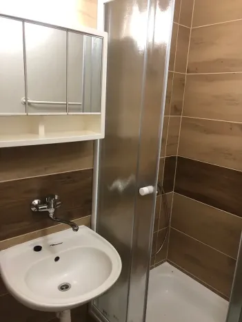 Pronájem bytu 1+1, Olomouc, Litovelská, 46 m2
