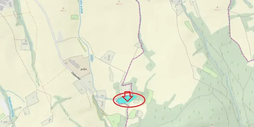 Prodej podílu lesa, Lhotsko, 3236 m2
