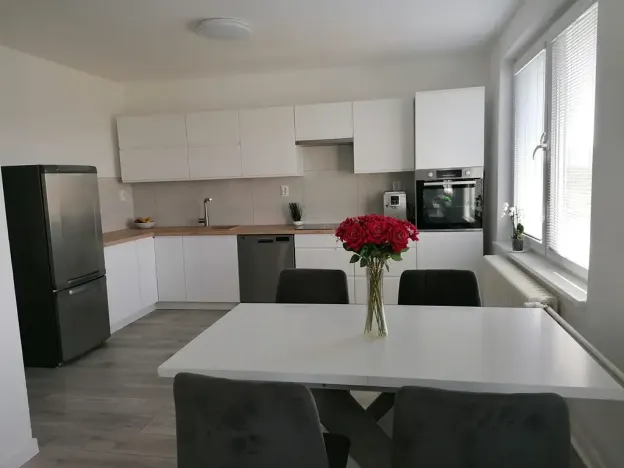 Pronájem bytu 3+kk, Šumice, 100 m2