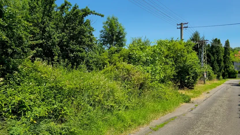 Prodej pozemku pro bydlení, Bukovina u Přelouče, 998 m2