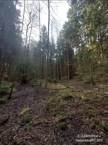 Prodej lesa, Načeradec, 1859 m2