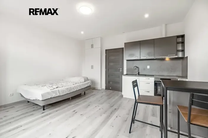 Pronájem bytu 1+kk, Praha - Břevnov, Patočkova, 25 m2