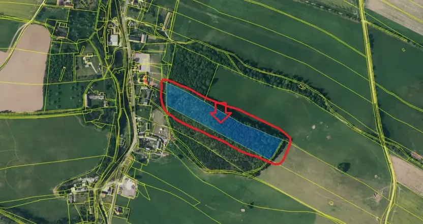 Prodej lesa, Bernartice, 23360 m2
