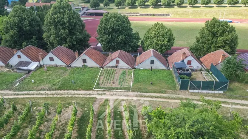 Prodej vinného sklepa, Čejkovice, 84 m2