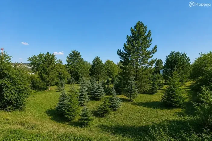 Prodej pozemku pro bydlení, Popůvky, 971 m2