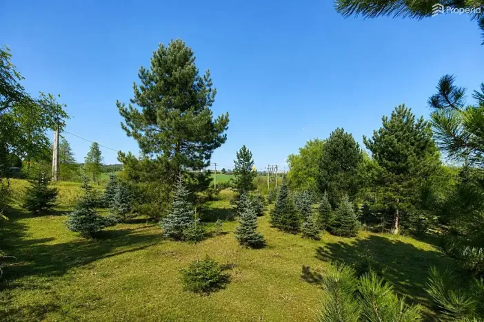 Prodej pozemku pro bydlení, Popůvky, 971 m2