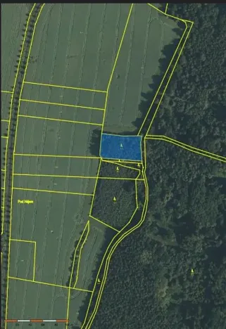 Prodej lesa, Horosedly, 2335 m2