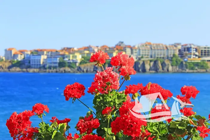 Prodej rodinného domu, Sozopol, Bulharsko, 350 m2