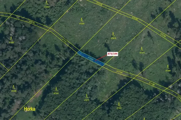 Dražba lesa, Kladruby, 132 m2