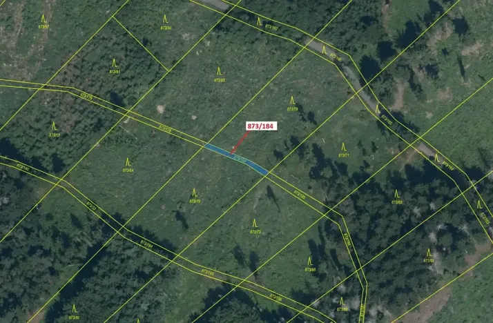Dražba lesa, Kladruby, 90 m2