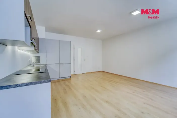 Pronájem bytu 2+kk, Plzeň - Jižní Předměstí, Karlova, 52 m2