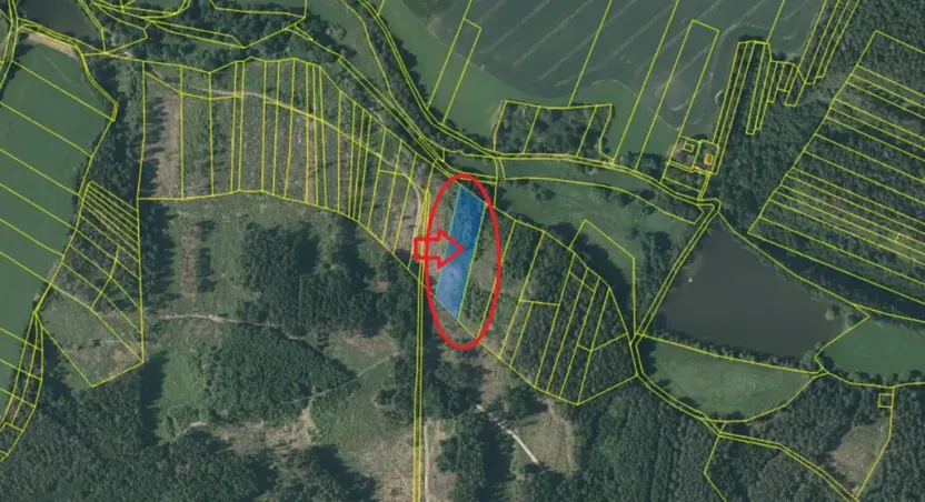 Prodej podílu lesa, Kamberk, 1844 m2