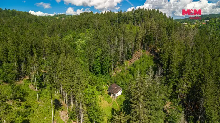 Prodej lesa, Jablonec nad Jizerou - Dolní Tříč, 18052 m2