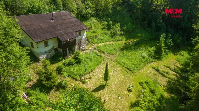 Prodej lesa, Jablonec nad Jizerou - Dolní Tříč, 18052 m2