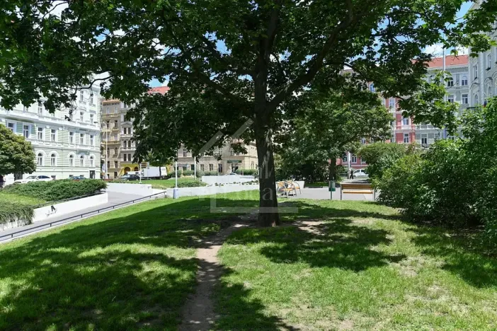 Pronájem bytu 3+kk, Praha - Nové Město, Sokolská, 114 m2