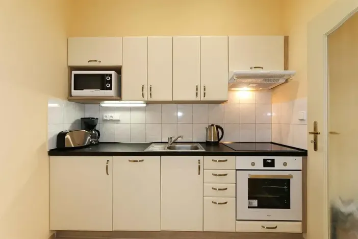 Pronájem bytu 1+1, Praha - Vinohrady, Máchova, 40 m2