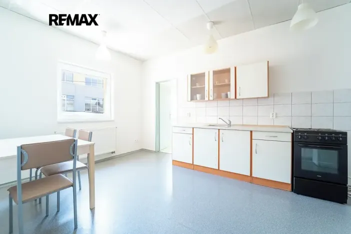 Prodej komerční nemovitosti, Kolín, Havlíčkova, 465 m2