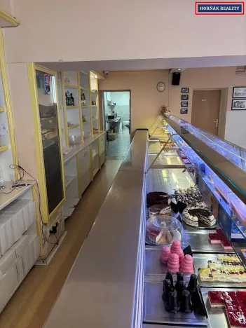 Pronájem komerční nemovitosti, Bučovice, Slavkovská, 101 m2
