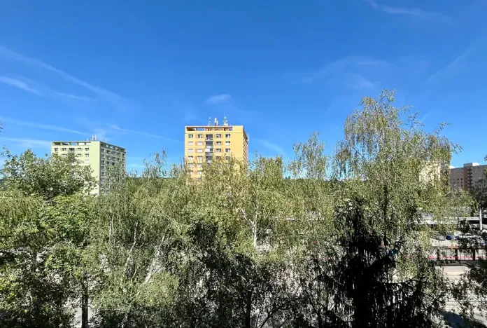 Pronájem bytu 1+1, Brno, Palackého třída, 39 m2