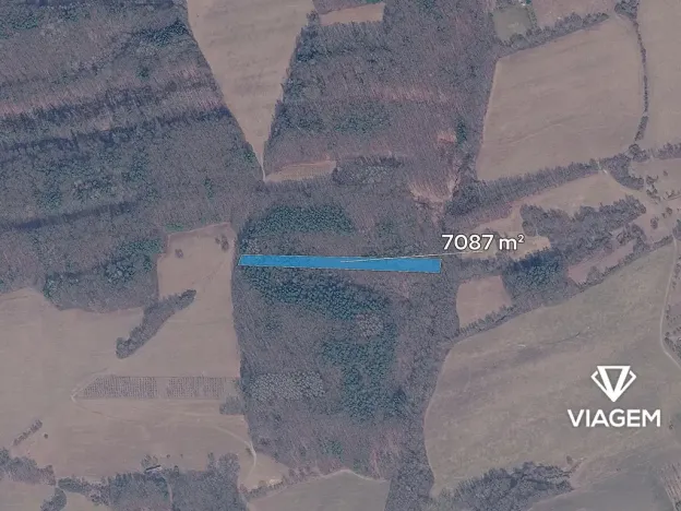 Prodej podílu lesa, Březůvky, 2952 m2