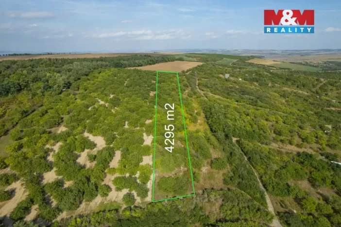 Prodej pole, Židlochovice, 4295 m2