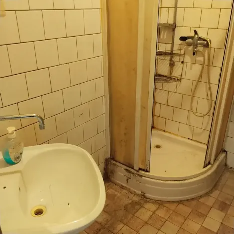 Pronájem vícegeneračního domu, Miroslav, Česká, 250 m2