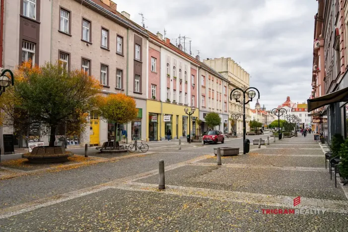 Pronájem bytu 3+1, Hradec Králové, Čelakovského, 91 m2