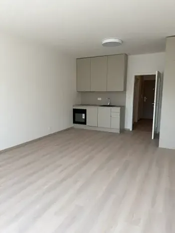 Pronájem bytu 1+kk, Praha - Vysočany, Gerstelova, 48 m2