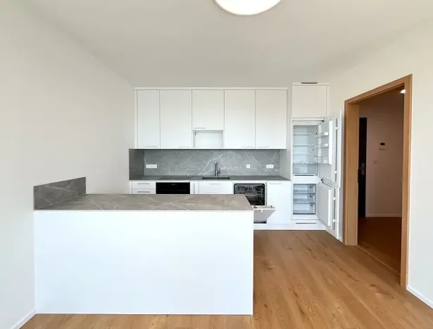 Pronájem bytu 2+kk, Brno, třída Generála Píky, 75 m2