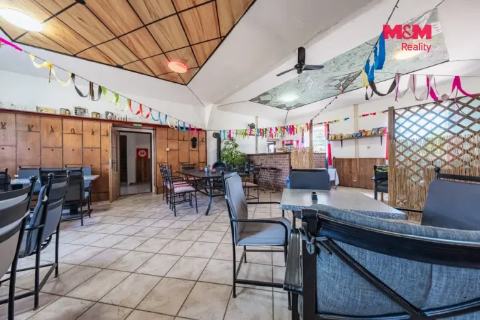 Prodej rodinného domu, Skršín - Dobrčice, 690 m2