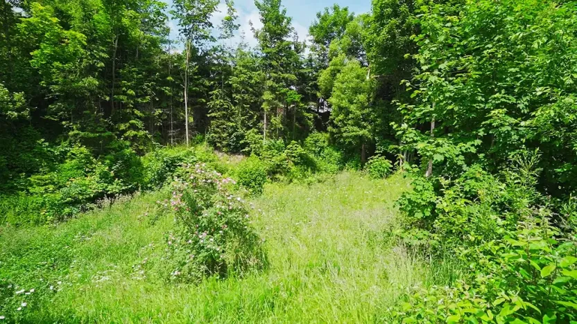 Prodej pozemku pro bydlení, Poniklá, 1280 m2