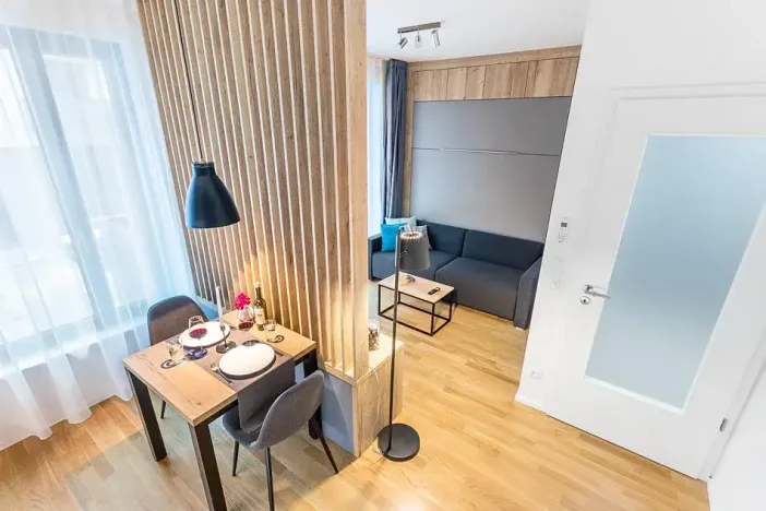 Pronájem bytu 1+kk, Praha - Žižkov, Seifertova, 31 m2