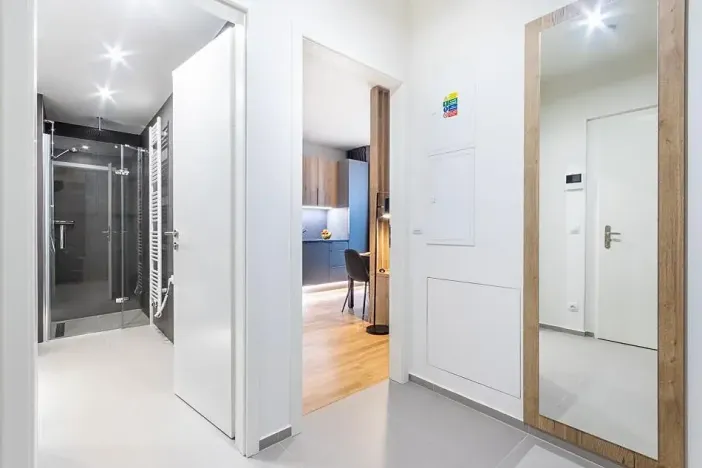 Pronájem bytu 1+kk, Praha - Žižkov, Seifertova, 31 m2