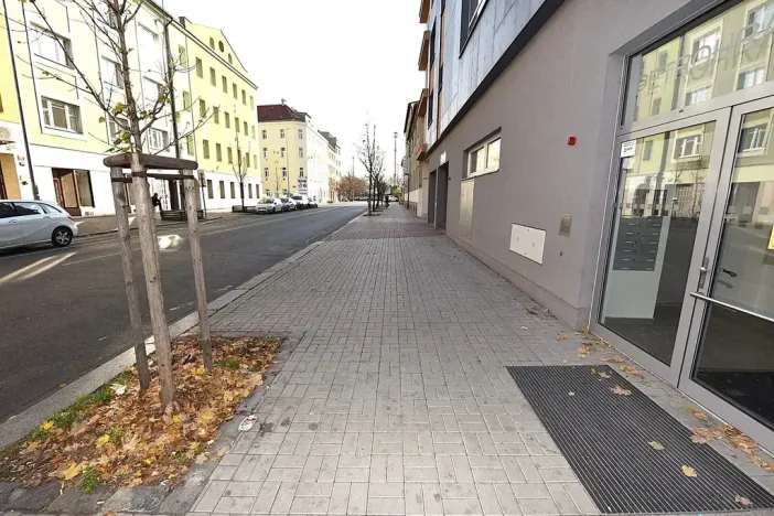 Prodej bytu 2+kk, Praha - Vršovice, Petrohradská, 114 m2