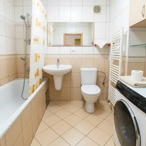 Prodej bytu 5+kk, Písek, Zátavské nábř., 181 m2
