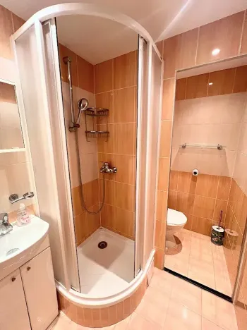 Pronájem bytu 1+1, Jihlava, Královský vršek, 33 m2