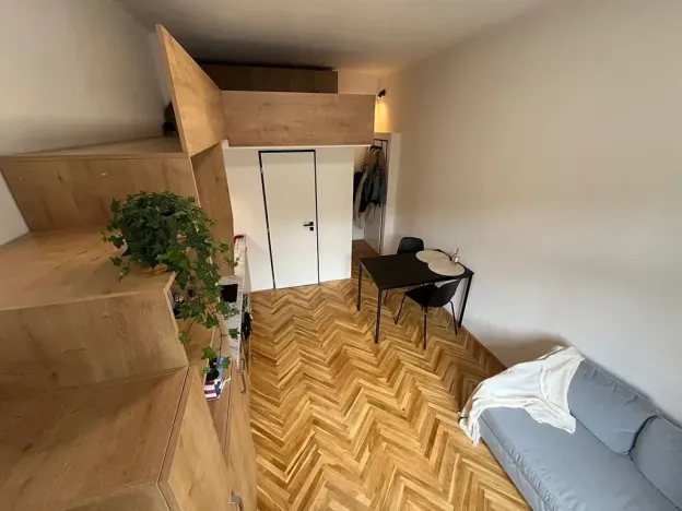 Pronájem bytu 1+kk, Praha - Nusle, Jaromírova, 18 m2