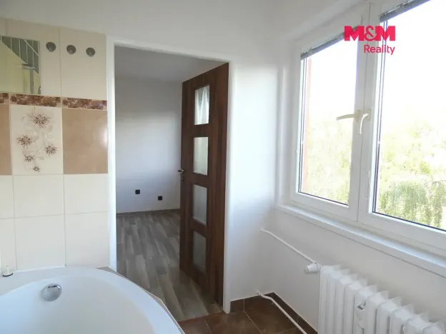 Pronájem bytu 1+kk, Ostrava - Moravská Ostrava, Petra Křičky, 30 m2