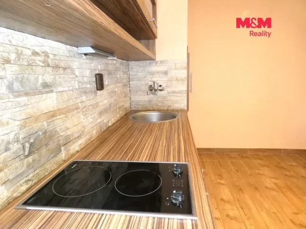 Pronájem bytu 1+kk, Ostrava - Moravská Ostrava, Petra Křičky, 30 m2